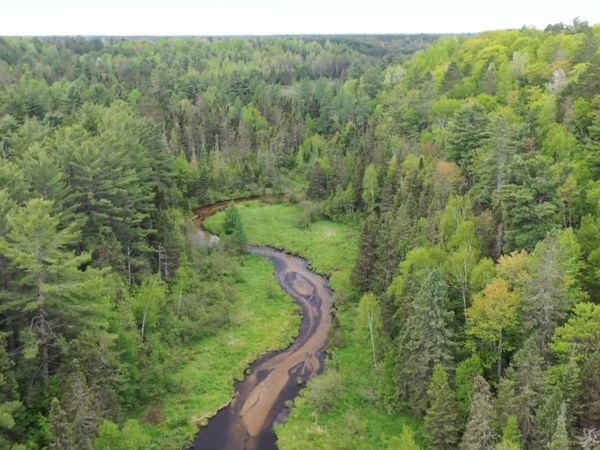 TBD M-94 Highway, West Branch Twp, MI 49885