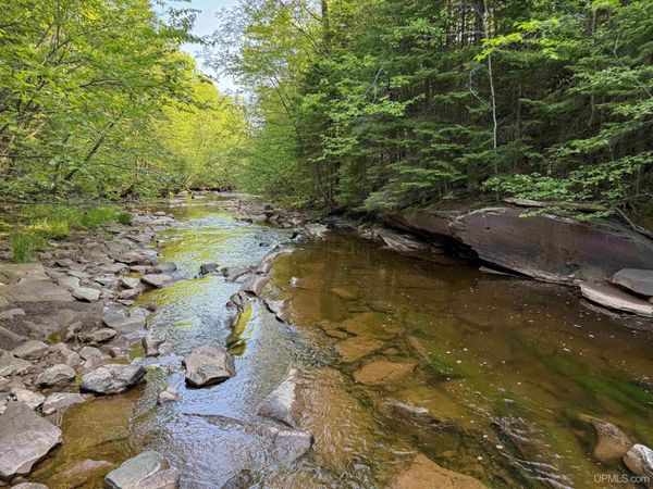Lot 2 Off Hwy M-64 Road, Carp Lake Twp, MI 49953