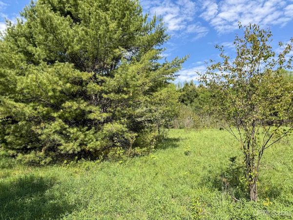 TBD Chipmunk Trail, Torch Lake Twp, MI 49945