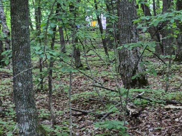 TBD LOT 351 195th Place , McGregor, MN 55760