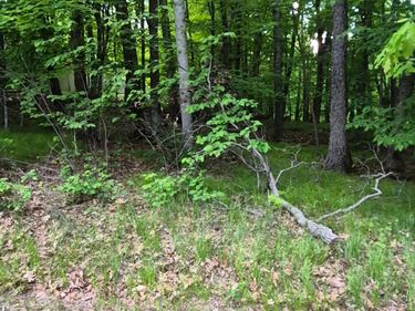TBD LOT 353 195th Place , McGregor, MN 55760