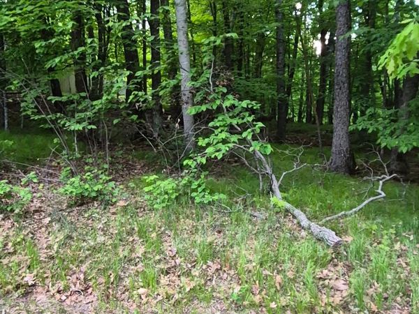 TBD LOT 353 195th Place , McGregor, MN 55760
