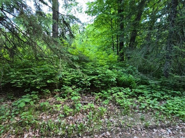 48458 197th Avenue , McGregor, MN 55760
