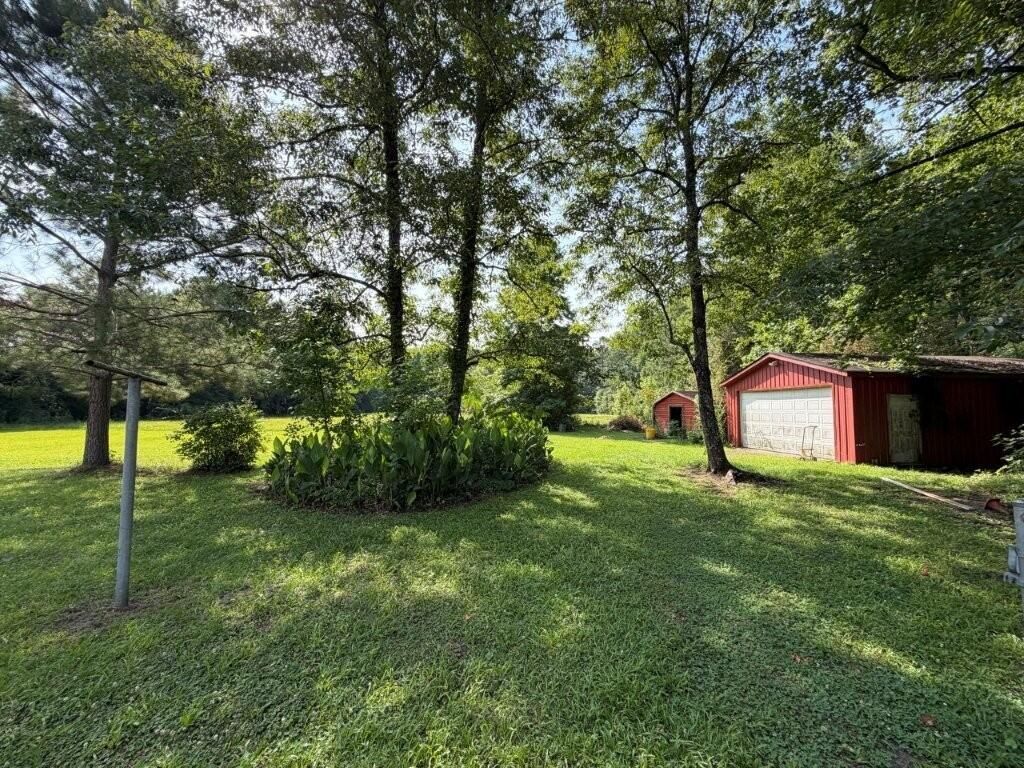 3556 S Live Oak Drive Photo 10