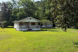 3556 S Live Oak Drive photo 4