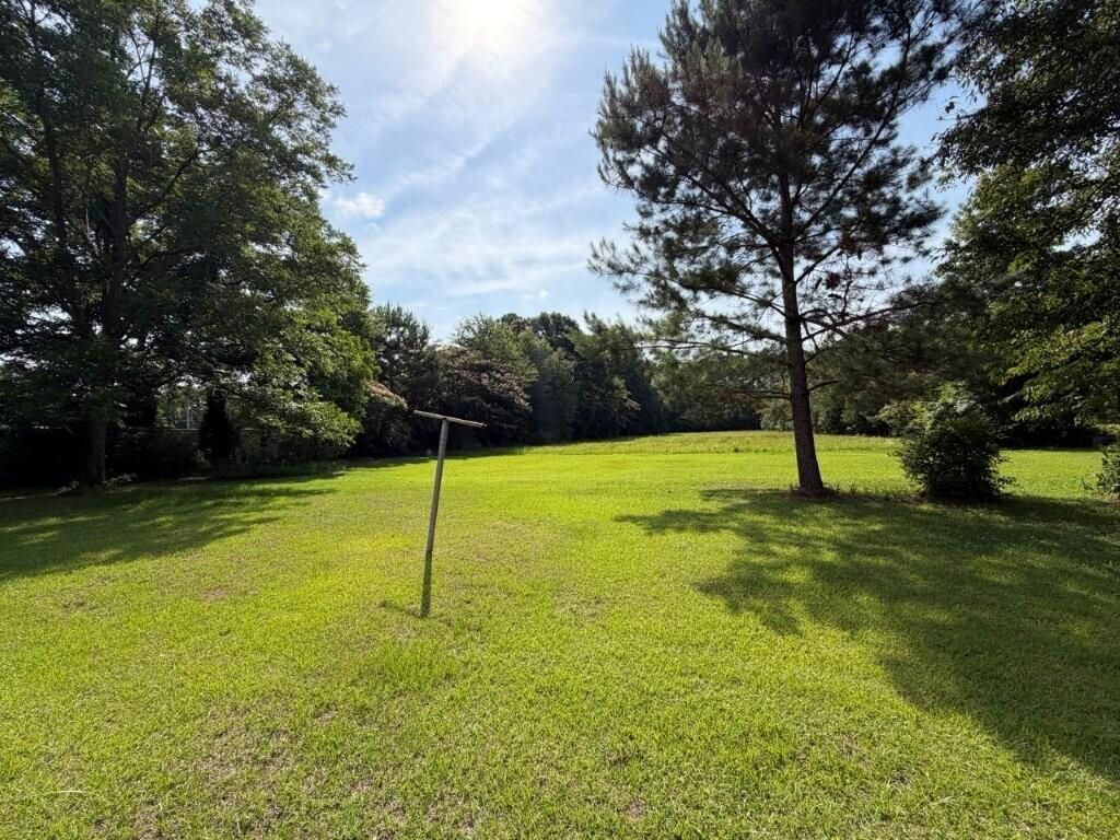 3556 S Live Oak Drive Photo 9