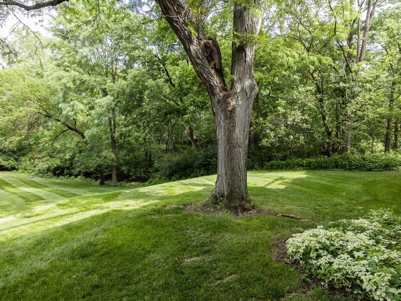 84 Glen Drive, Worthington, OH 43085 Photo 40