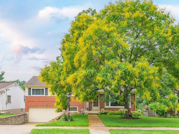 919 Rosetree Lane, Anderson Twp, OH 45230