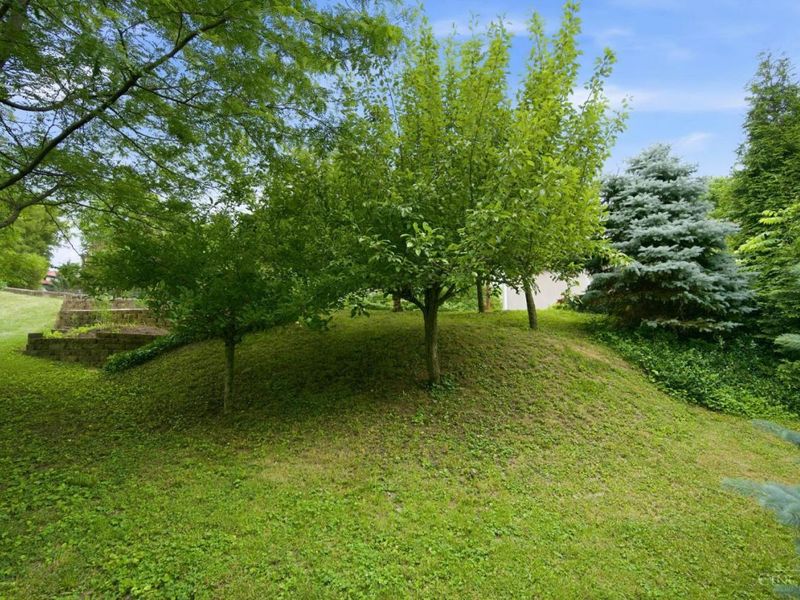 949 Redway Avenue, Cincinnati, OH 45229 Photo 40