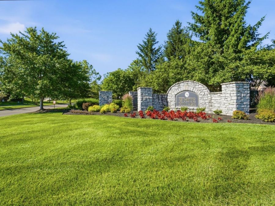 Property Image 59