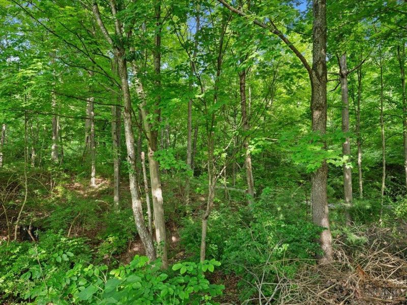 9761 Farmstead Drive, Symmes Township, OH 45140 Photo 89