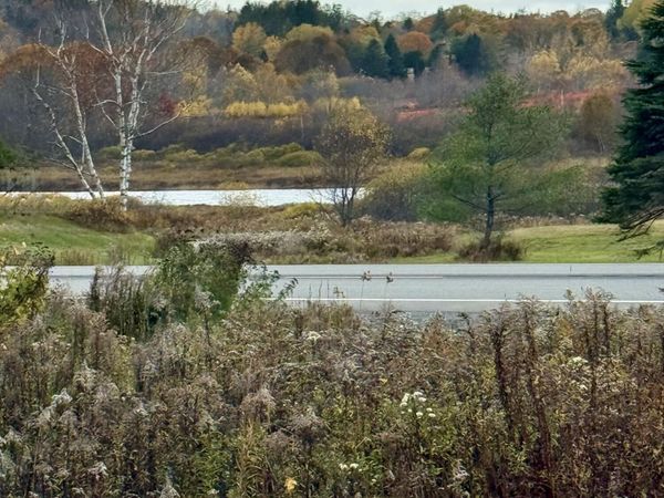 346 Main Street , East Machias, ME 04630