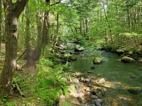 Lot 44 Rolfe Road , Harrison, ME 04040