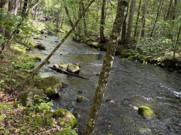 Lot 44 Rolfe Road , Harrison, ME 04040