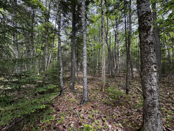 Lot 0 Hadley Point Road , Bar Harbor, ME 04609