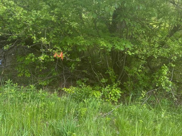 Lot 5 Unionville Road , Steuben, ME 04680