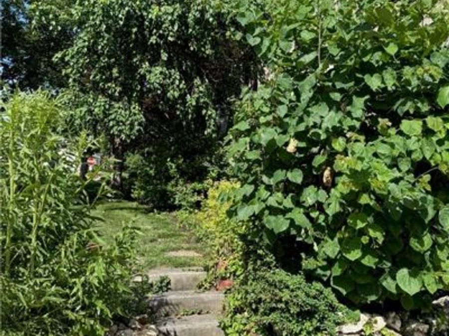 Property Image 47
