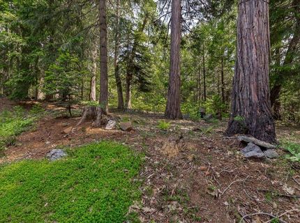 35580 Culberson Rd, Alta, CA 95701 Photo