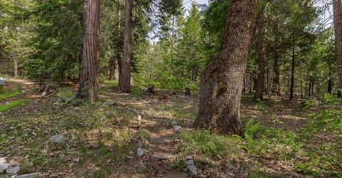 35580 Culberson Rd, Alta, CA 95701 Photo
