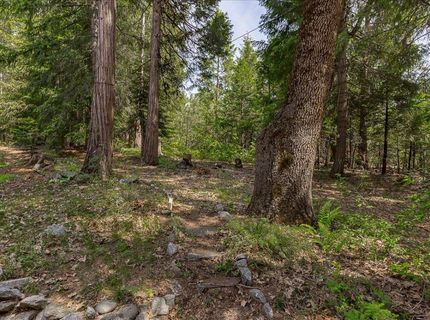 35580 Culberson Rd, Alta, CA 95701 Photo