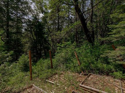 35580 Culberson Rd, Alta, CA 95701 Photo