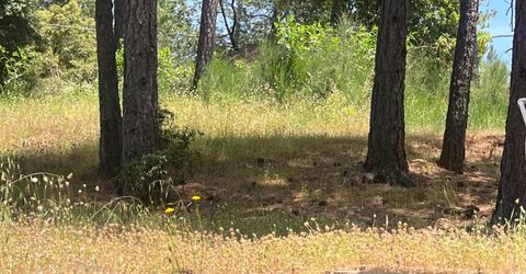 111-115 Ponderosa Way, Colfax, CA 95713 Photo