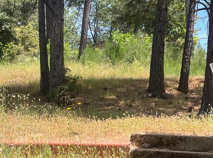 111-115 Ponderosa Way, Colfax, CA 95713 Photo