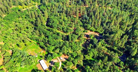 Placer Hills, Meadow Vista, CA 95722 Photo