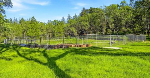 Placer Hills, Meadow Vista, CA 95722 Photo