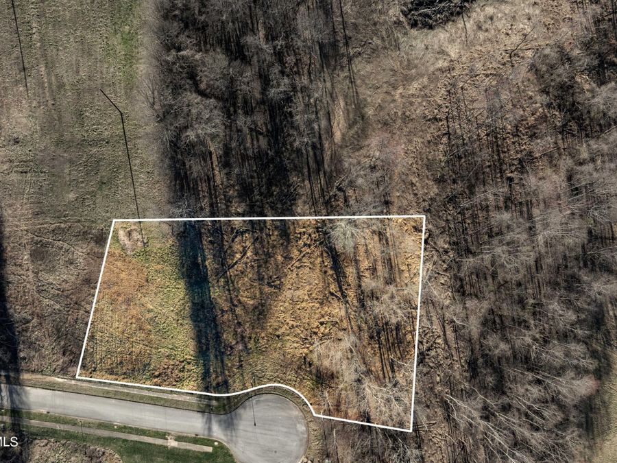 Property Image 6