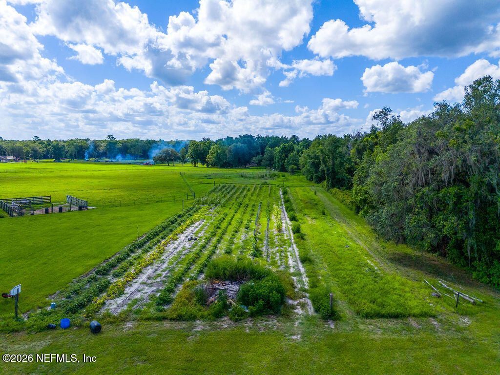 9787 SW 118th Lane, Brooker, FL 32622 Photo