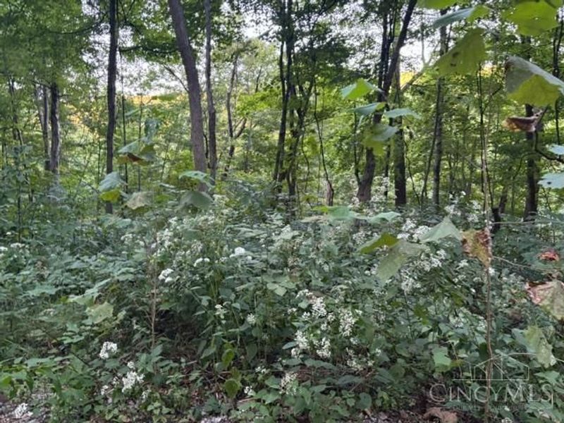 2750 Potts Hill Road, Paxton Township, OH 45612 Photo 10