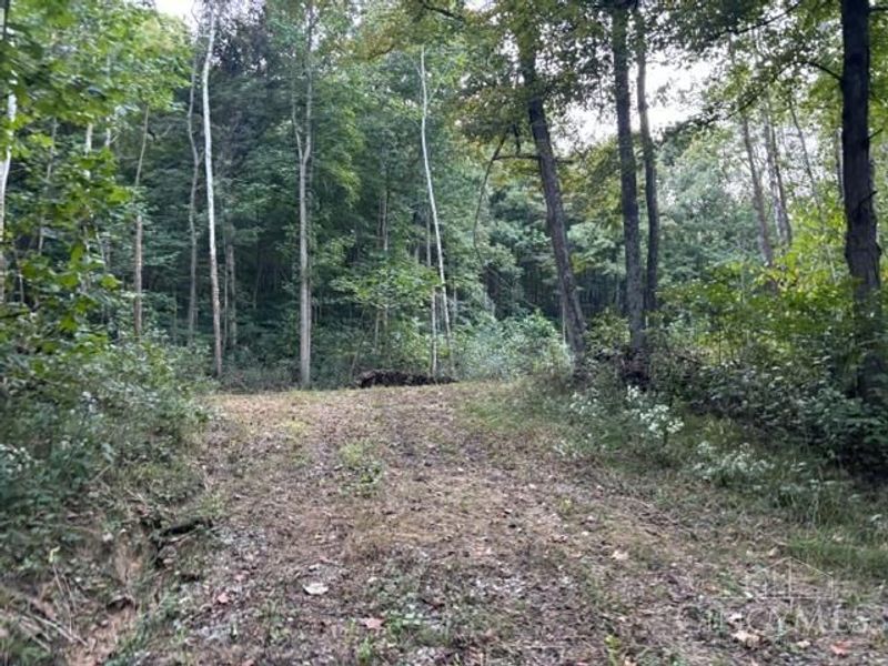 2750 Potts Hill Road, Paxton Township, OH 45612 Photo 6