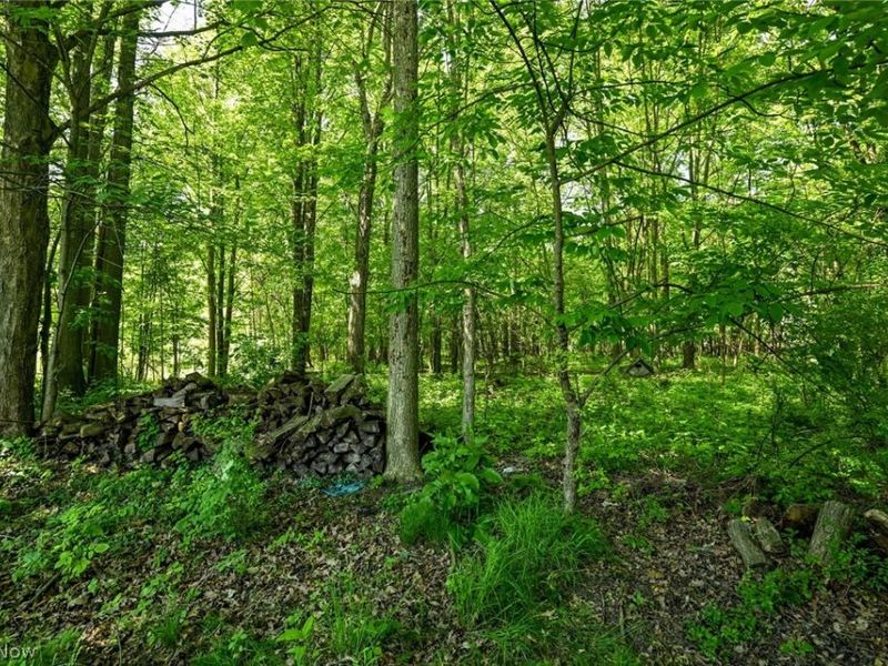 4092 Hummingbird Trail, Stow, OH 44224 Photo 35
