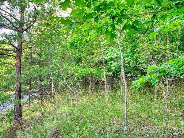 0 Cross Creek Drive, Rutherfordton, NC 28139