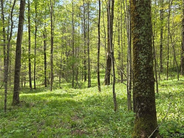 Skaneateles Tpke , Brookfield, NY 13355