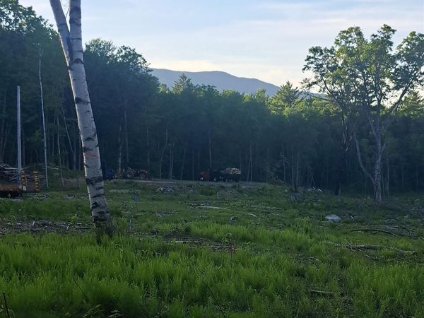 140 Great Road, Jaffrey, NH 03452