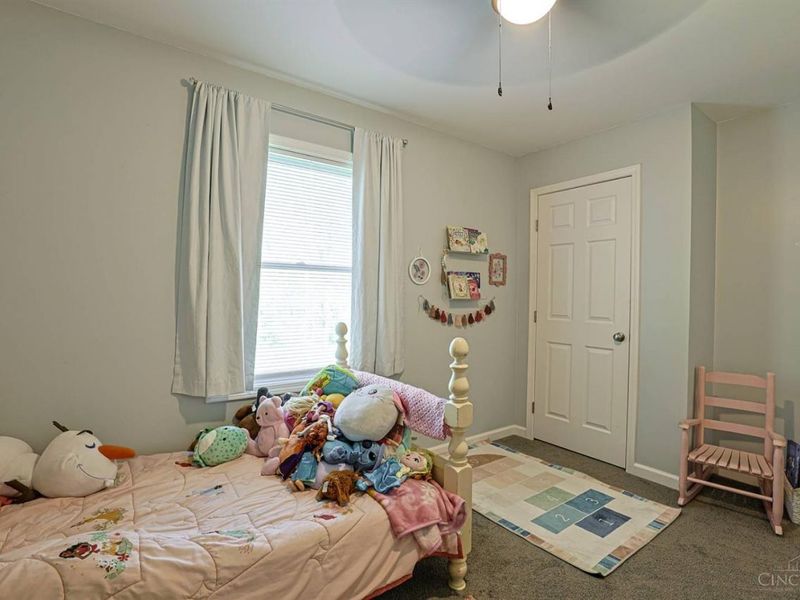 11924 St Rt 136, West Union, OH 45693 Photo 23