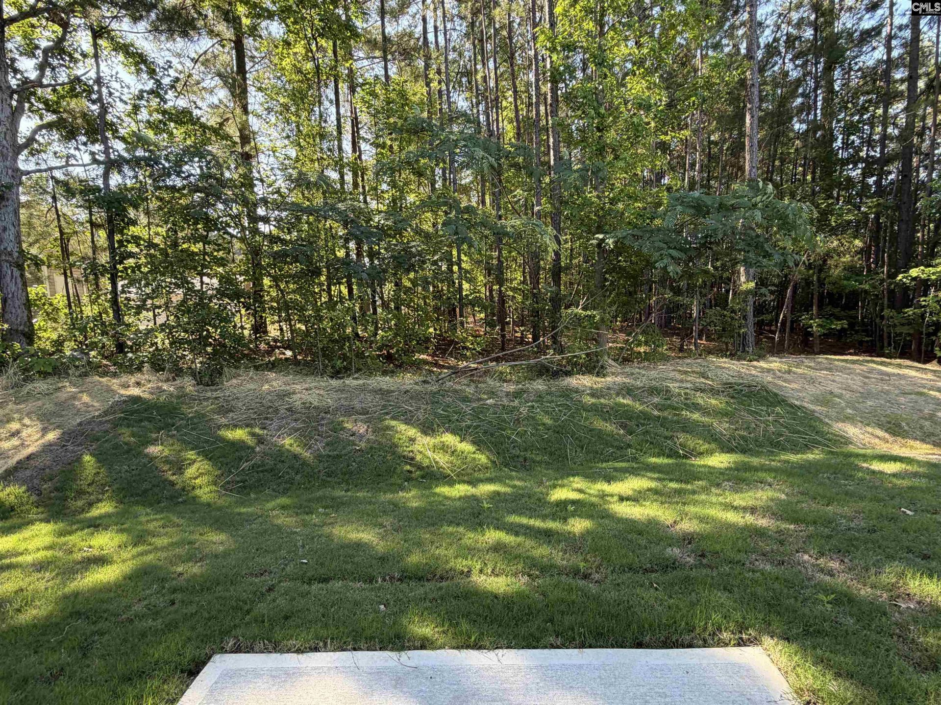 204 Rockcreek Road  Photo 12