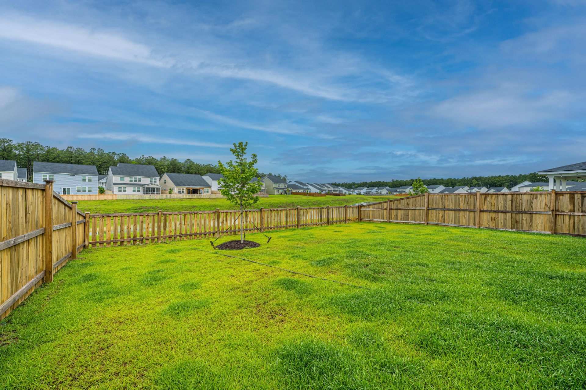 450 Camellia Bloom Drive Photo 39