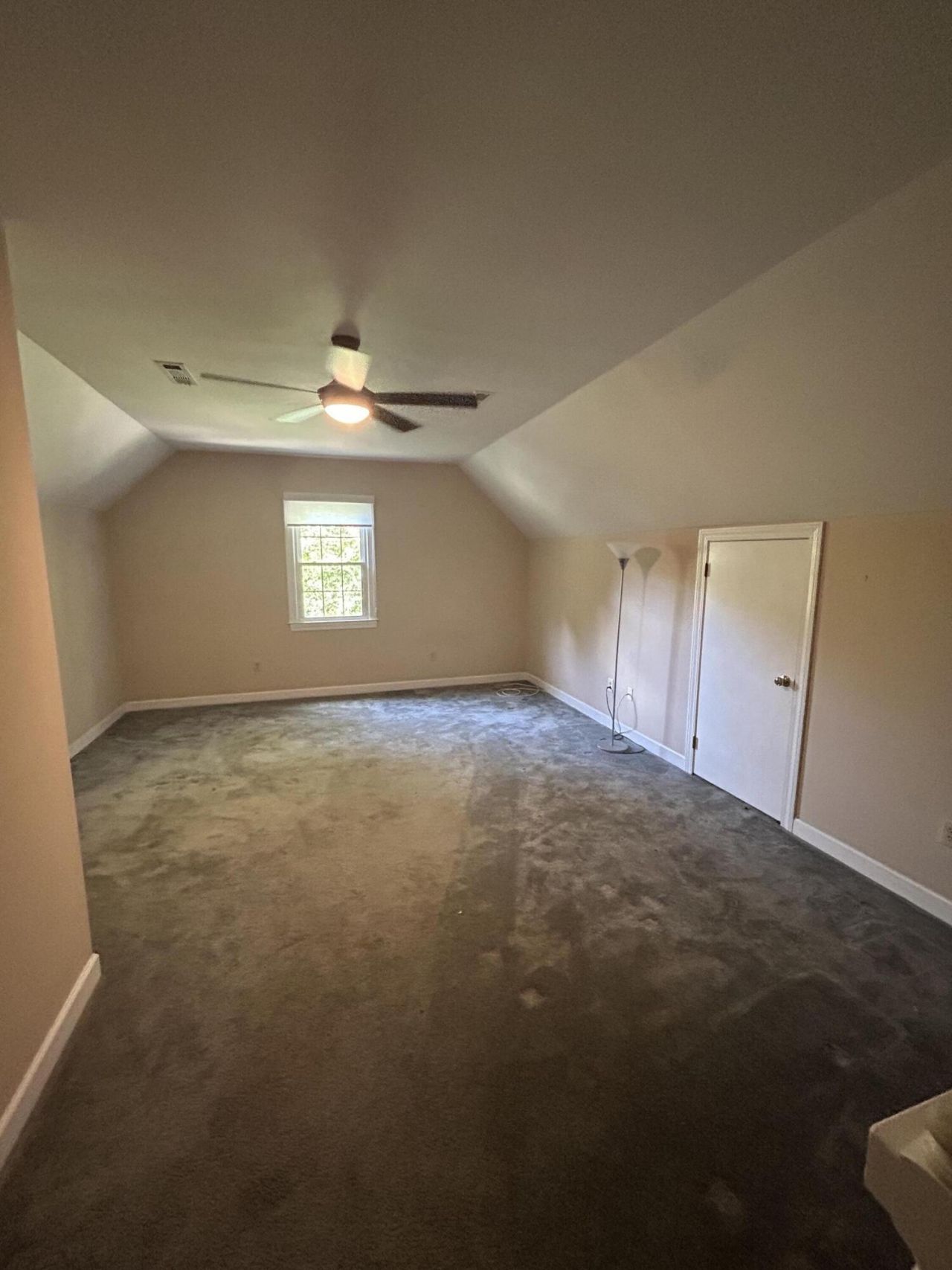 1136 Audubon Place Photo 17