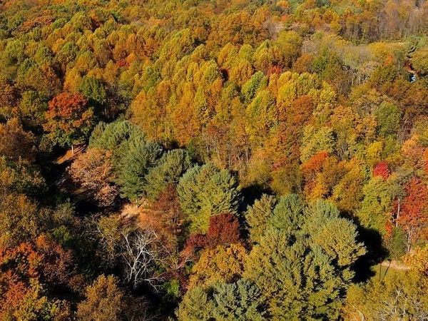 Lot 2 TEN OAKS ROAD , DAYTON, MD 21036
