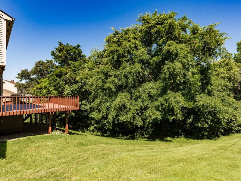 24 Sturbridge Drive, Cold Spring, KY 41076 Photo 26