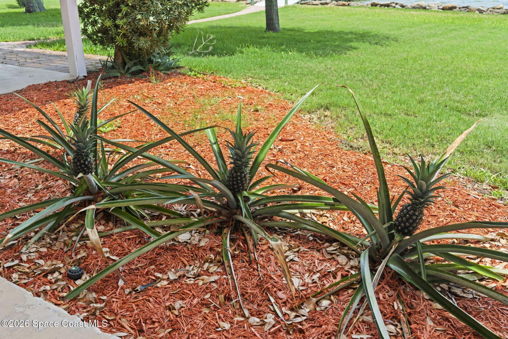 3028 Newfound Harbor Drive , Merritt Island, FL 32952 Photo