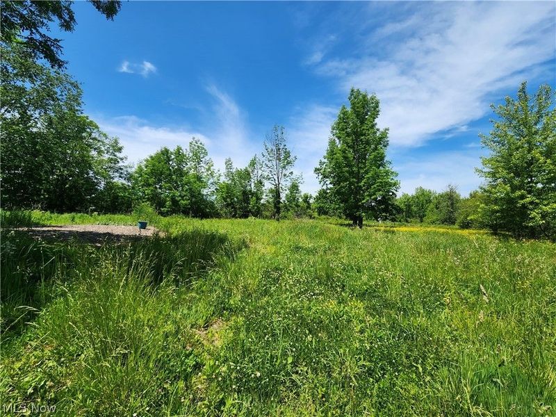 14161 Painesville Warren Road, Painesville, OH 44077 Photo 3