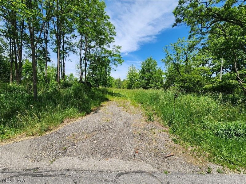 14161 Painesville Warren Road, Painesville, OH 44077 Photo 3