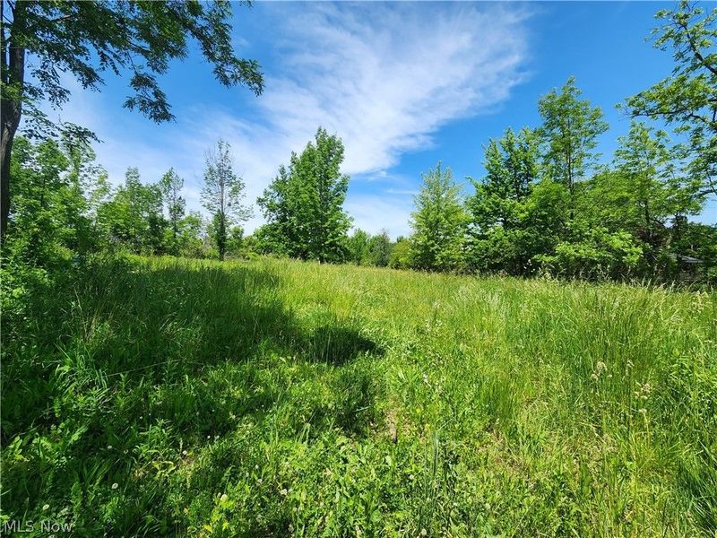 14161 Painesville Warren Road, Painesville, OH 44077 Photo 5
