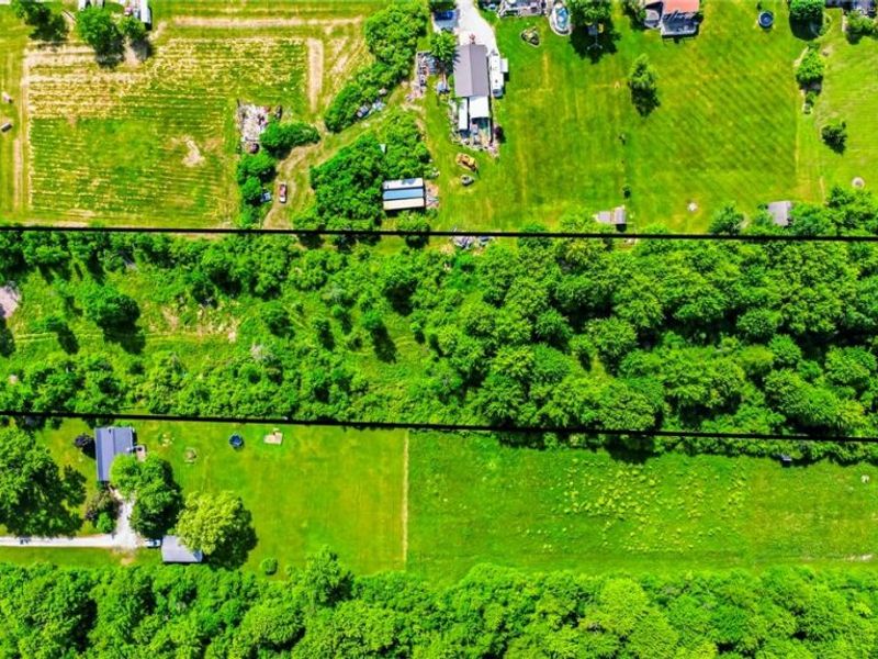14161 Painesville Warren Road, Painesville, OH 44077 Photo 6