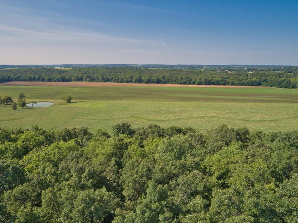 000 E 517th Road , Halfway, MO 65663