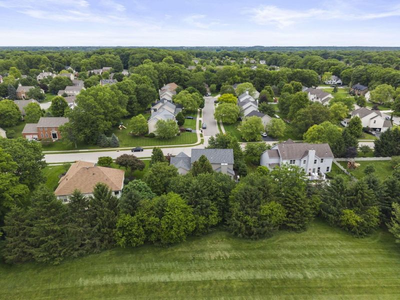 447 Ridge View Place, Powell, OH 43065 Photo 66